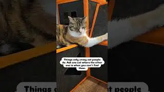 Are you a crazy cat person? 😆 #crazycatpeople #catperson #cats