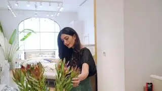 Forever Pieces Episode 2, Williams Sonoma