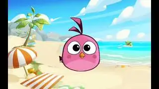 Angry birds episode 5 beach fight 
