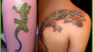 Lizard Tattoos Video