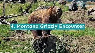 12 Fun Things to Do in Bozeman with Kids