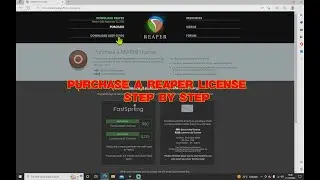 Purchase a Reaper license step by step.