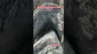 what a geologist sees #geology #shorts #shortvideo #youtubeshorts #geologist #ytshorts #fold #plunge