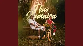 Flow Jamaica