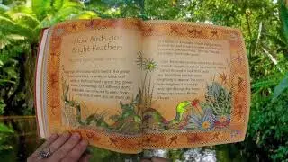 How Birds Got Bright Feathers | Fable | South America | Read Aloud | Art | Literacy | Education