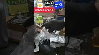 Skoda: DSG МКПП Везде Паль?🤔 (2025)