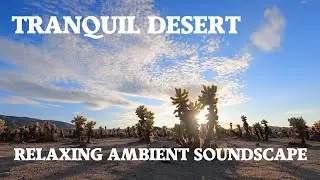 Relaxing Ambient Soundscape - Windy Desert - Wildlife Sounds - Tranquil/Desolate Ambience