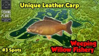 Unique Leather Carp Weeping Willow Fishery - Fishing Planet