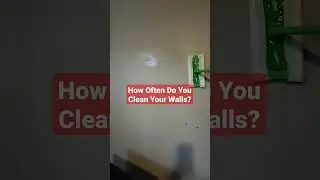 How Often Do You Clean Your Walls?