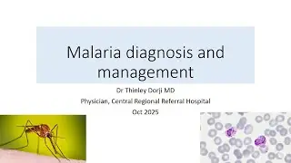 Malaria diagnosis and management in Bhutan