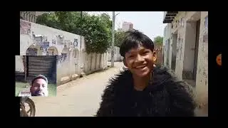 Fake small gorilla vs dog frank