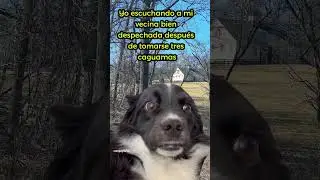 La vecina est&aacute; dolida y despechada 🤣