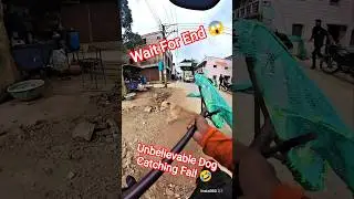 Unbelievable Dog Catching Fails 🤣#dog #dogwithpublicsafety #shorts #ytviral #ytshorts #pets #animals
