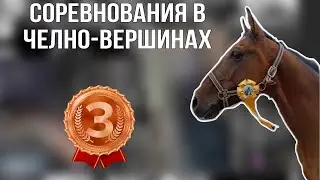 соревнования в челно-вершинах,кск кентавр
