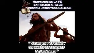 Evangelio 25 Enero 2026 San Mateo 4, 12-23 &ldquo; Venid en pos de m&iacute; y os har&eacute; pescadores de hombres &rdquo;
