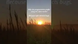 Programming Joke | Why Programmers Prefer Dark Mode #Shorts
