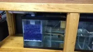 DIY 55 gallon sump