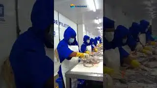 exporter of Peruvian seafood products #Shorts