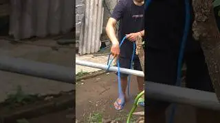 Fast Knot, Perfection Loop