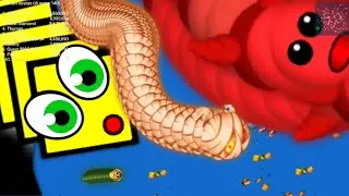 wormzone pro vs giant worm - wormszone.io best gameplay #02