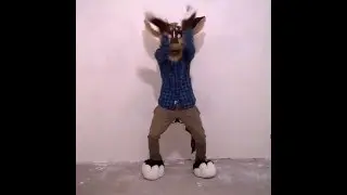 Furry dance vine