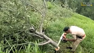 Himachal Hindi News: Shimla में तेज़ हुई वन भूमि से कब्जा हटाने की कार्रवाई, कटे सेब से लदे पेड़
