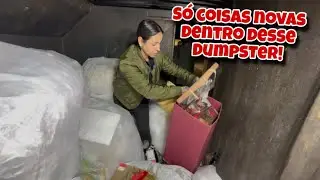 Tirei tudo isso de dentro do lixo das lojas dos Estados Unidos!🇺🇸