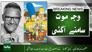 What REALLY Happened to The Simpsons Writer?