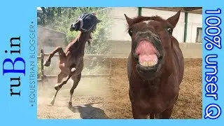 100% Q | 6 Monate mit einem Jungpferd | Outtakes!