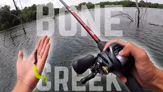 Flipping DEEP Trees for SUMMER TIME Bass at Bone Creek (Tourney Vlog)