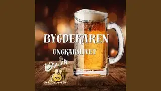 Ungkarslivet
