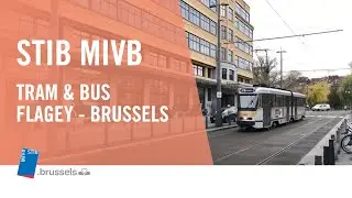STIB MIVB - nos bus et nos trams à Flagey - onze trams en bussen in Flagey