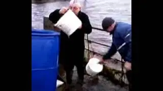 Draining the rahasane turlough after Storm Desmond