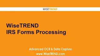 Forms IRS 940 and IRS 941 Processing and Automation for SBA PPP by WiseTREND