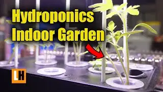 Start Your Indoor Garden - GardenCube Hydroponics Kit