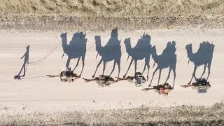 CAMEL TREK ACROSS AUSTRALIA | Ep 2: Life on the Track