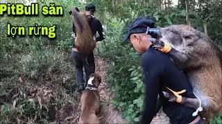 Wild Snake Hunting|Snake Hunt Adventure