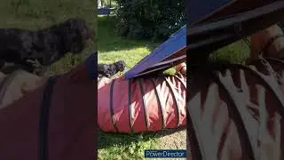 Agility - mal anders!