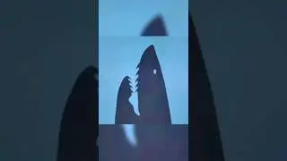 Sharkhead or Leg? What did you see?