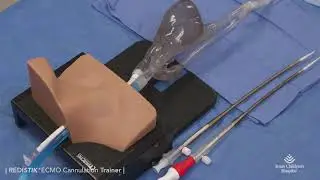 RediStik&reg; ECMO Cannulation Trainer