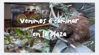 Fuimos al casino sams town y nos divertimos mucho🤗