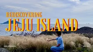 Ep. 1 [5D4N Jeju trip] (Car Rental / Hotel recommendation / Muslim-friendly food) Episode 1