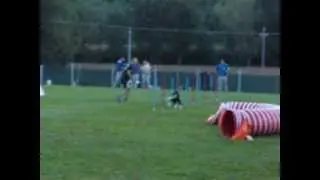 Michele Marchetti  e shiry U.C.A.M.