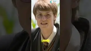 Why did Lily stop talking to Snape? | Harry Potter