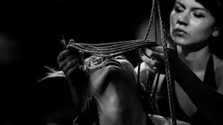 Art of Shibari - 