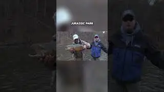 Гигантская форель на ручье Оук-Орчард, Нью-Йорк #форель