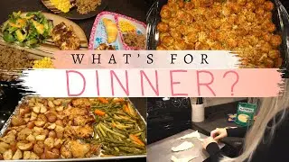 WHAT&rsquo;S FOR DINNER | EASY & BUDGET FRIENDLY MEAL IDEAS | Jordan Murdock
