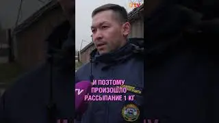 Химикаты окрасили воду Черниковки в красный цвет #красители #загрязнение #экология