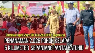 Penanaman 2026 Pohon Kelapa Sepanjang 5 Kilometer Di Pesisir Pantai Batu Hiu | Bupati Hadir