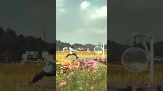 Wudang Tai Chi Serenity Connect Mind Body & Nature #shorts